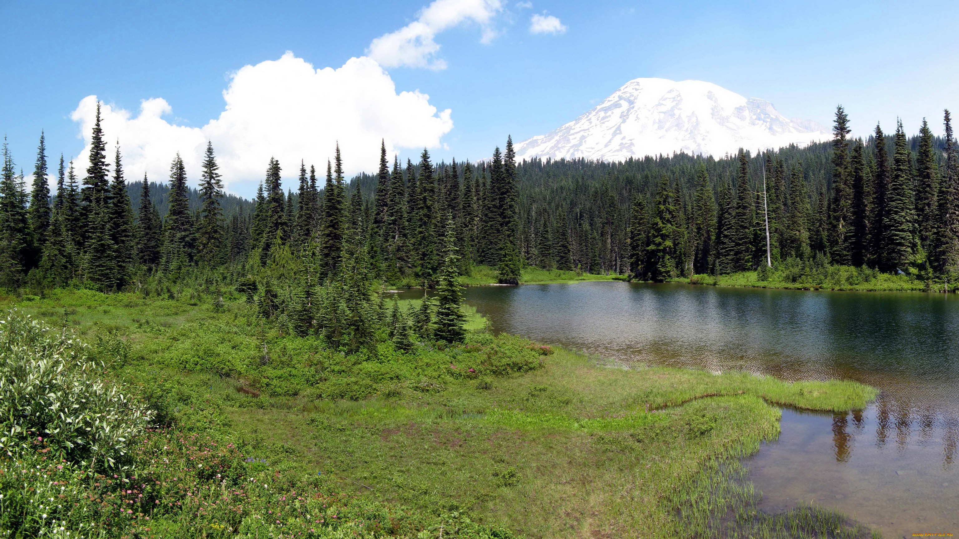 mount, rainier, national, park, usa, washington, , , , , , , , 